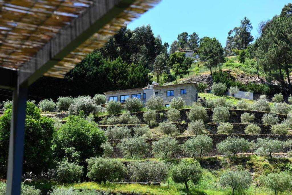 فيلا Casa Dos Becos ريبا دورو المظهر الخارجي الصورة
